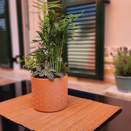 Apartament Pieri House Corfu