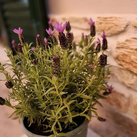 Lejlighed Pieri House Corfu